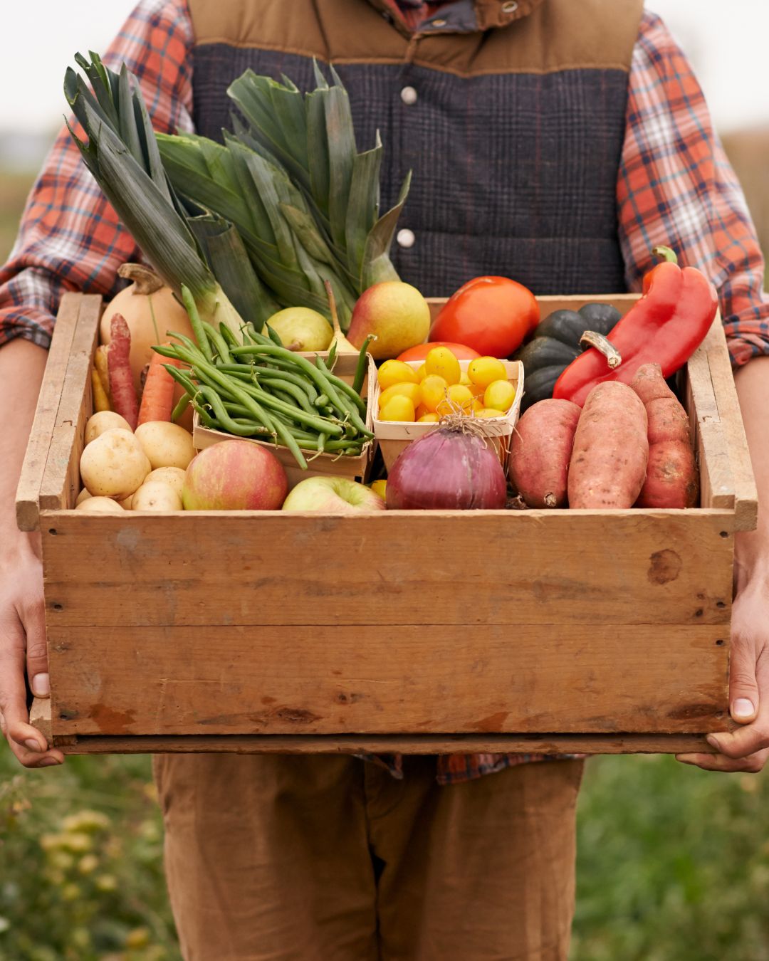 The Power of Plant-Based Nutrition for Vibrant Health